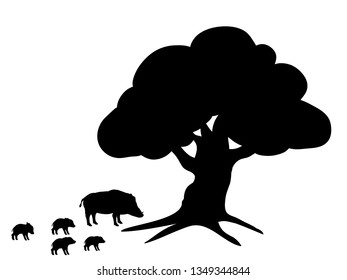 Boars wildlife black silhouette animal