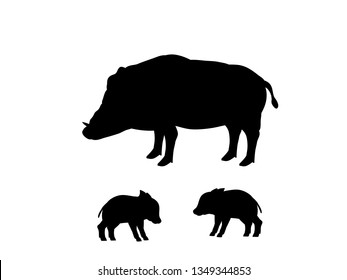 Wild Hog Isolated の画像 写真素材 ベクター画像 Shutterstock