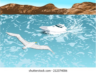 boat and albatross