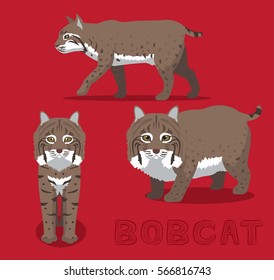 Bobcat Cartoon Vector Illustration