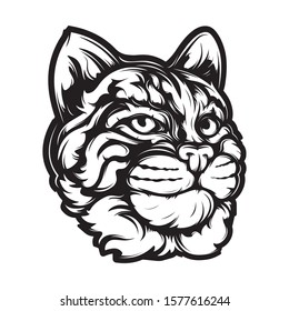 Bobcat head vector illustration. Wild lynx looking straight forward. Black and white bob cat logo.