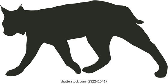 Bobcat illustration for any purpose