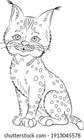 
Bobcat line on white background. Contour cartoon vector illustration with animal. Isolated sketch of lynx.Coloring page for kids.
