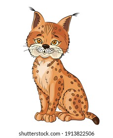 Bobcat on white background.Isolated of lynx.Cute cartoon character.Vector illustration with red wild animal in childish style. Colorful design for kids 
 book,colouring picture,coloring page.