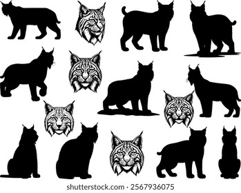 Bobcat silhouette on white background