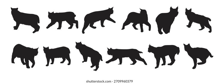 Bobcat Silhouette, Vektorgrafik