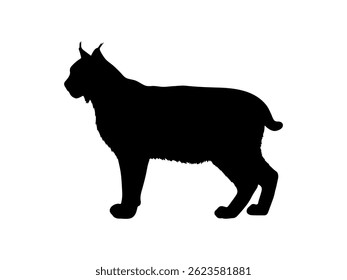 Bobcat silhouette vector flat illustration design.