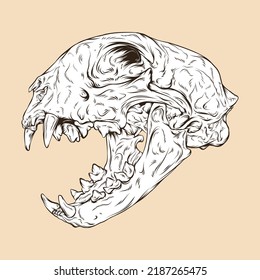 Bobcat Skull Head Vector Illustration Stock Vector (Royalty Free ...