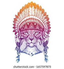 Bobcat, trot, lynx. Animal. Vector portrait in traditional indian headdress with feathers. Tribal style illustration for little children clothes. Image for kids tee fashion, posters.