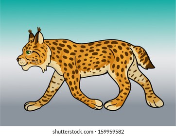 bobcat vector