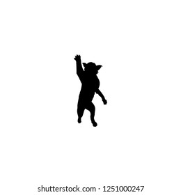 bobcat vector icon. bobcat sign on white background. bobcat icon for web and app