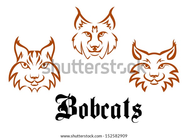 Bobcat Tattoo Designs - Bobcat Cartoon Stock Illustrations 825 Bobcat Cartoon Stock Illustrations Vectors Clipart Dreamstime / Bobcat head original graphic symbol.