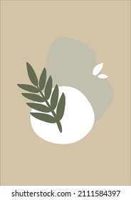 Bobo minimal leave  plants background