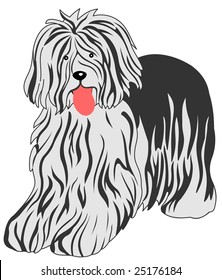 bobtail dog vector illustration