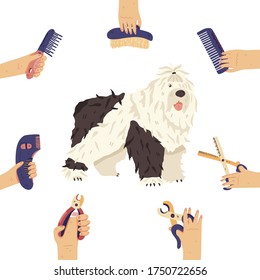 Bobtail and groomers hands with grooming tools around. Fun long fur dog breed flat vector illustration. For pet care salon, shops, landing, banners, promo poster, sticker, social network.