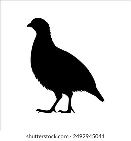 Bobwhite quail silhouette on white background. Quail icon vector sign illustration design.