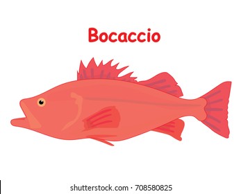 Bocaccio fish vector cartoon illustration, t shirt design for kids with aquatic animal theme isolated on white background wallpaper