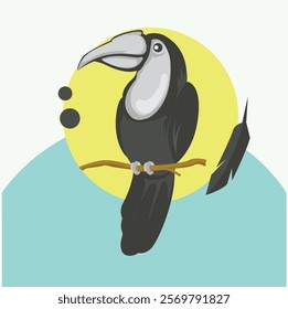 bocerotidae bird vector, animal wild life