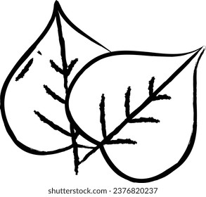 Bodhi Leaf hand drawn vector illustration