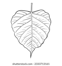 Bodhi tree leaf Silhouette Vector illustration,Buddhism and tropical leaves.