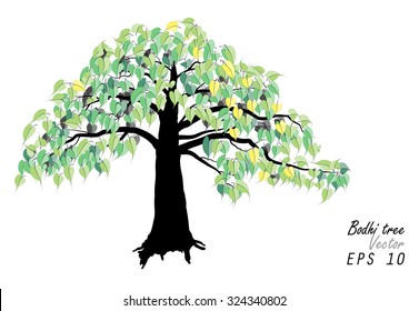 Bodhi tree ,on white background ,Vector illustration
