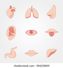 Bodies are different in flat style  on gray background