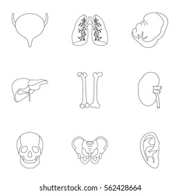 Bodies icons set. Outline illustration of 9 bodies vector icons for web