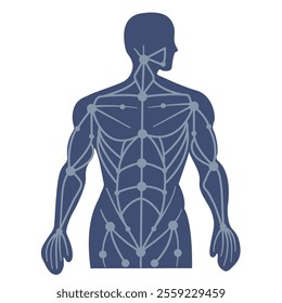 body with Acupuncture pressure points