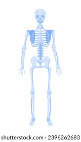 Body anatomical structure concept. Human skeleton with bones. Educational medical materials and infographics. Template and layout. Cartoon flat vector illustration isolated on white background