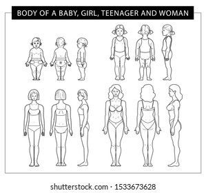 The body of a baby, girl, teenager and woman in underwear. Front, back, side view. Linear illustration of a female body, front view. Vector illustration.
