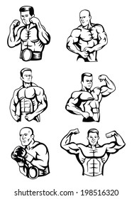 Body Builder Collection