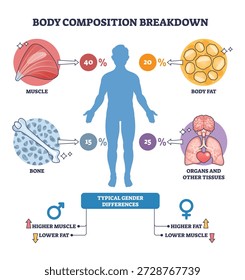 La descomposición de la composición corporal muestra la composición humana en porcentajes, los Elementos clave son la silueta, el músculo y las células grasas, que transmiten el equilibrio tisular en todo el cuerpo. Esquema del diagrama