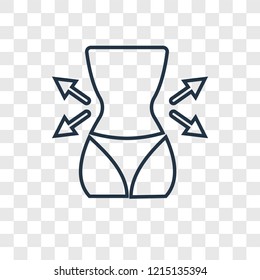 Body concept vector linear icon isolated on transparent background, Body concept transparency concept in outline style