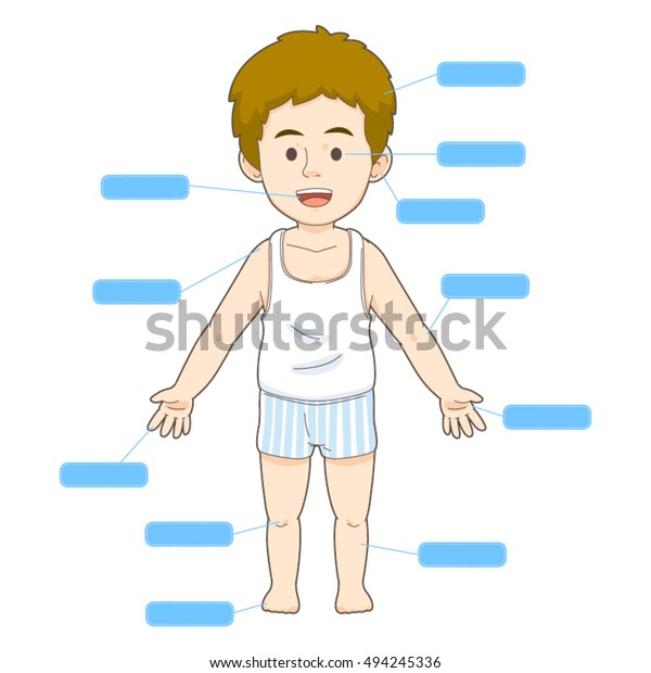 Body Diagram Cartoon Stock Vector (Royalty Free) 494245336