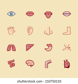 body element vector color icon set