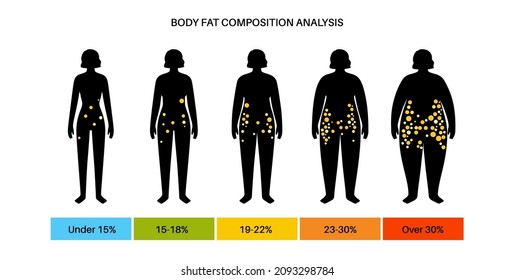 Grasa corporal y porcentaje muscular en las siluetas femeninas adultas con sobrepeso y delgadas. Análisis de la composición corporal humana. Comparación de diferentes tipos de cifras. Ilustración vectorial de caracteres obesos y finos