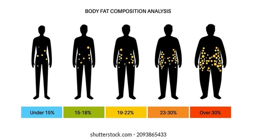 Grasa corporal y porcentaje muscular en las siluetas masculinas normales y adultas con sobrepeso. Análisis de la composición corporal humana. Comparación de diferentes tipos de cifras. Ilustración vectorial de caracteres obesos y finos