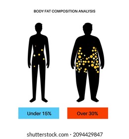 Body fat and muscle percentage in overweight and normal adult male silhouettes. Human body composition analysis. Comparison of different types of figures. Obese and thin characters vector illustration