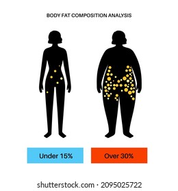 Body fat and muscle percentage in overweight and slim adult female silhouettes. Human body composition analysis. Comparison of different types of figures. Obese and thin characters vector illustration