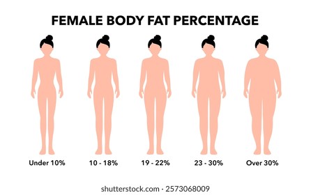 Body fat percentage in overweight and normal adult female silhouettes. Human body composition analysis. Comparison of different types of figures. Obese and thin characters vector illustration.