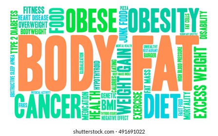 Body Fat word cloud on a white background. 