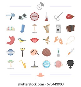 body, food, tool and other web icon in cartoon style.man, medicine icons in set collection.
