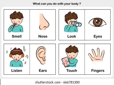 body function smell, look, listen, touch - part of body concept