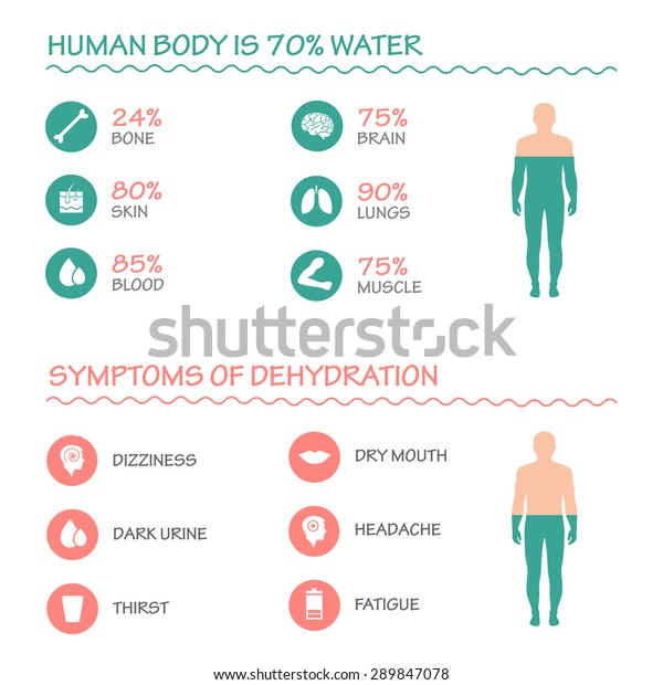 体の健康ベクター画像インフォグラフィックイラスト 飲み水 水のアイコン 脱水症状 のベクター画像素材 ロイヤリティフリー