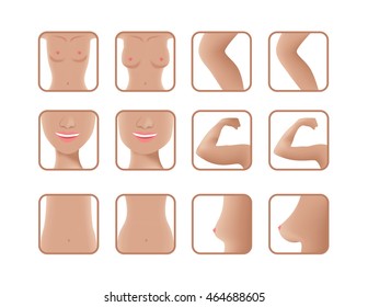 body icon , vector , graphic