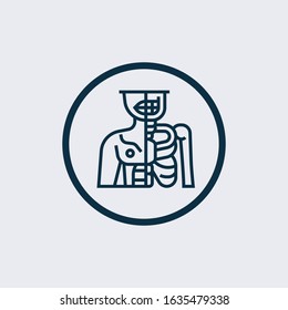 body icon vector from human body collection. Thin line body outline icon vector illustration. Linear symbol for use on web and mobile apps, logo, print media