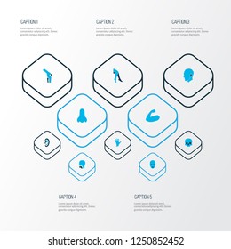 Body icons colored set with skull, head, joint and other hand elements. Isolated vector illustration body icons.