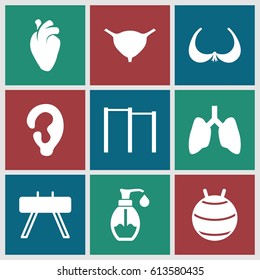 Body icons set. set of 9 body filled icons such as ear, bra, heart organ, bladder, soap, horizontal bar, fit ball, fintess equipment