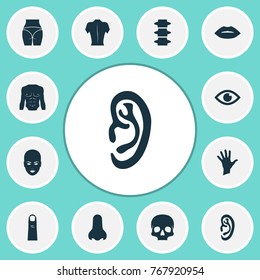 Body icons set with backbone, body, skeleton and other elements. Isolated vector illustration body icons.