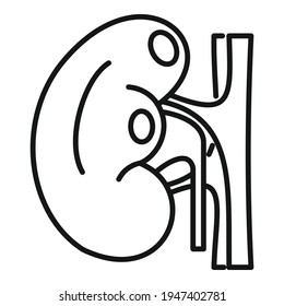Icono del riñón corporal. Icono del vector del riñón del cuerpo del contorno para el diseño web aislado en fondo blanco